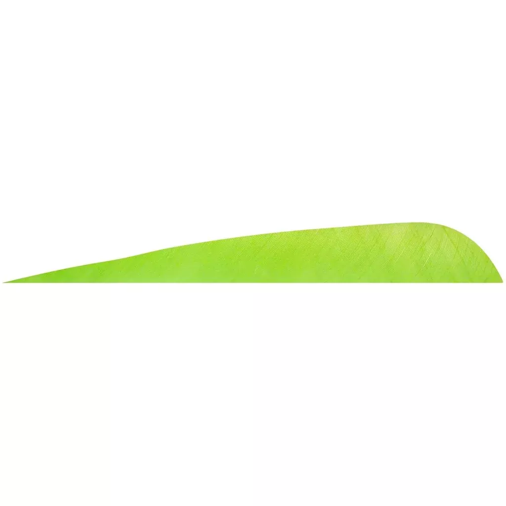 Gateway Parabolic Feathers