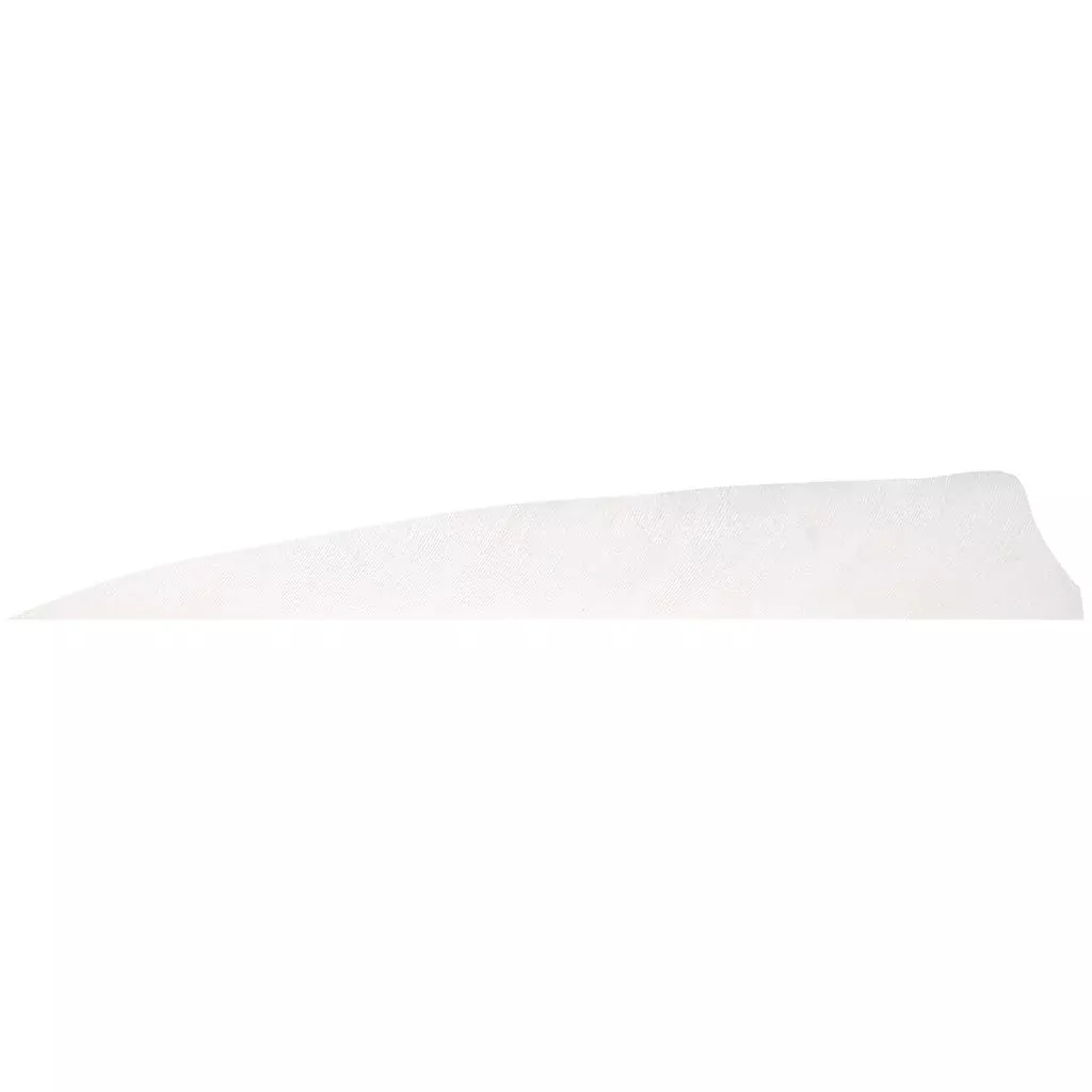 Gateway Shield Cut Feathers White 4 In. Rw 100 Pk.