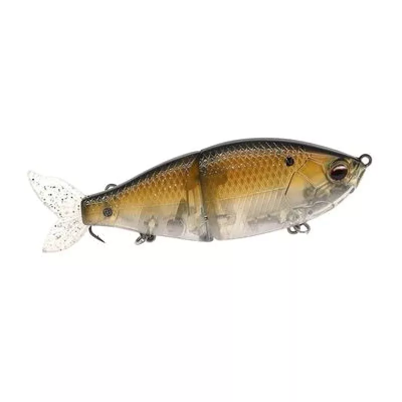 Glide Bait 5 – Real Fish