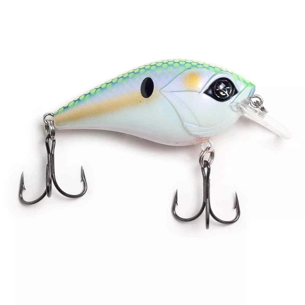 Googan Squad Flat Banger – Mondo Shad #1001GGS10004B