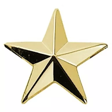 Hero's Pride 4485 1 Star, 1 Post & Clutch Back, Pairs, 1/2" High
