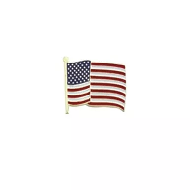 Hero's Pride 9098 American Wavy Flag Pin - 7/8'' x 3/4''