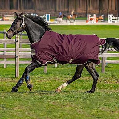 HORSEWARE IRELAND Amigo Hero Ripstop 50g Fig/Silver Turnout Blanket (AAPA91-GFI0)