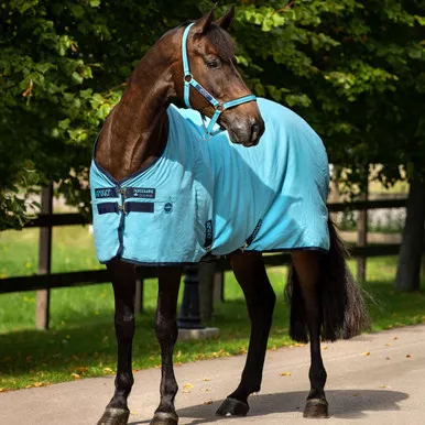 HORSEWARE IRELAND Amigo Stable Sheet (ADRF22)
