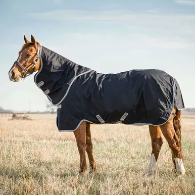 HORSEWARE IRELAND Amigo Stock Horse Plus 0g Black/Silver Turnout Sheet (AARP10-KI00)