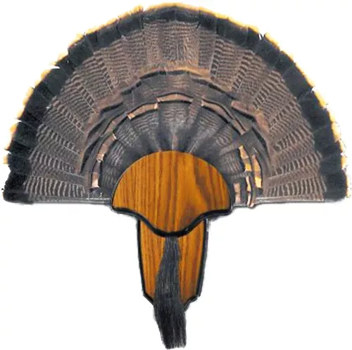 Hs Strut Mounting Kit Turkey – Tail & Beard