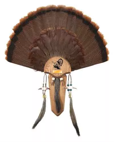 Hs Strut Mounting Kit Turkey – Tail & Three Beard