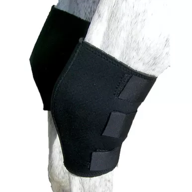 INTREPID INTERNATIONAL Air Lite Hock Boots (114116)