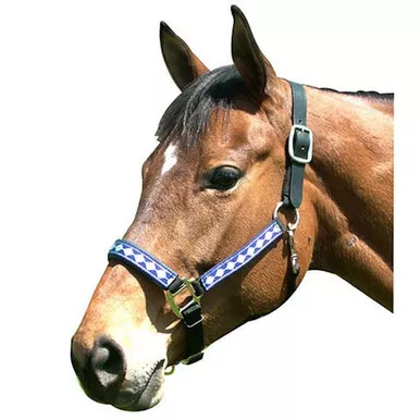 INTREPID INTERNATIONAL Leather Crown Diamond Pattern Halter