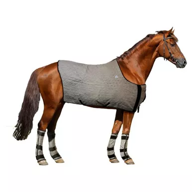 INTREPID INTERNATIONAL TechNiche Evaporative Cooling Silver M/L Horse Blanket (TI8510SVM)