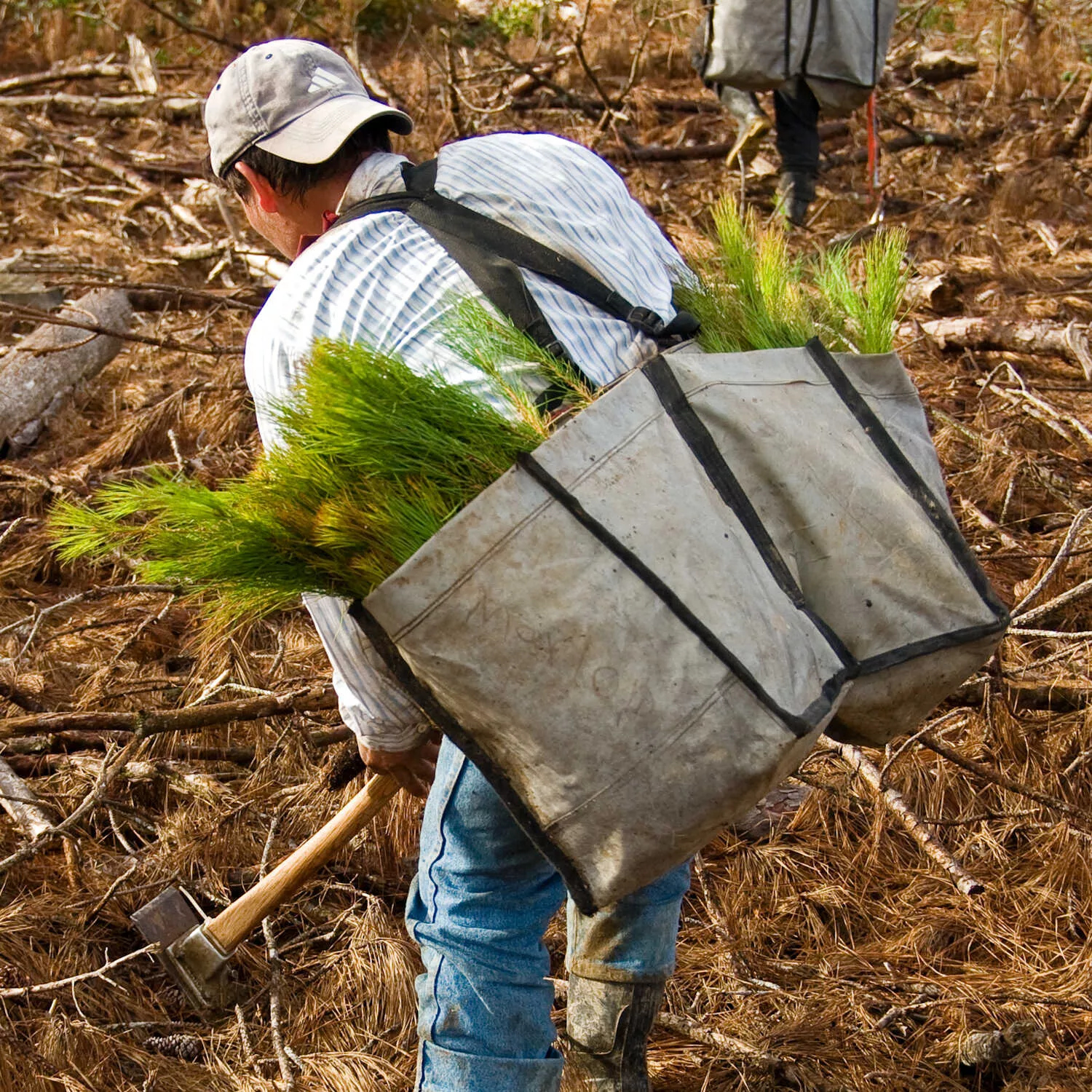 Jim-Gem | Professional Model Tree Planting Bag | Split Bag Design