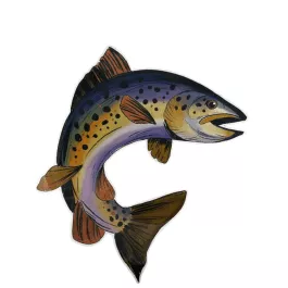 Large Fish Sticker - Trout