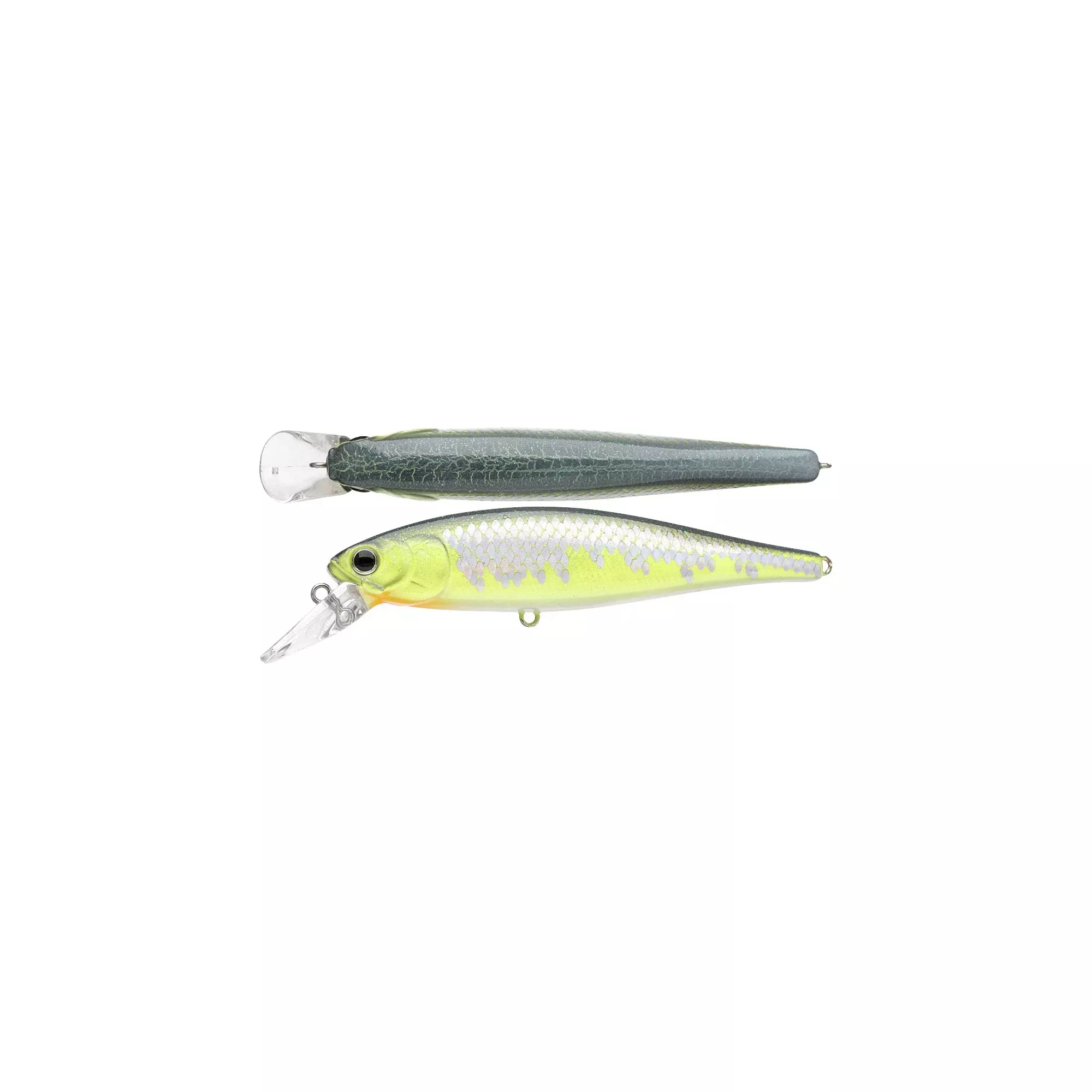 LC Pointer 100