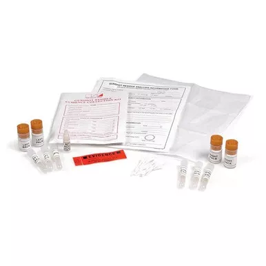 Lightning Powder 4-1611 Gunshot Residue Kit (GSR), AA/SEM