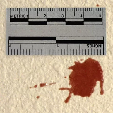 Lightning Powder Adhesive Scales