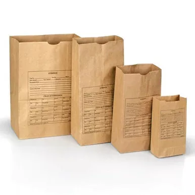 Lightning Powder Printed Paper Evidence Bags (100 Pack)