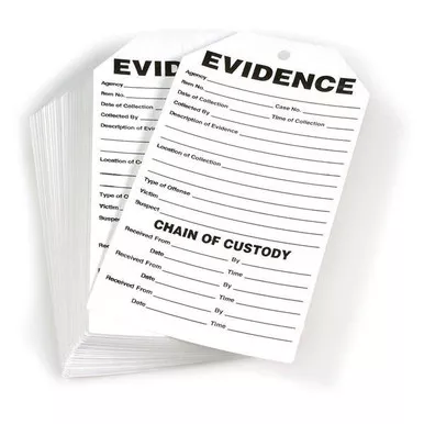 Lightning Powder SAT-500 Evidence Tags, 3.5" x 6.5" (100 Pack)