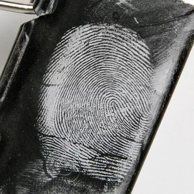 Lightning Powder White Magnetic Fingerprint Powder