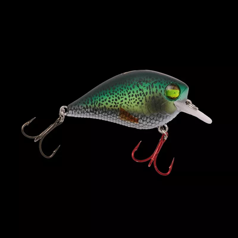 Little Banger|Crappie&Crackle Bluegill&Fire Tiger&Tequila Sunrise Craw