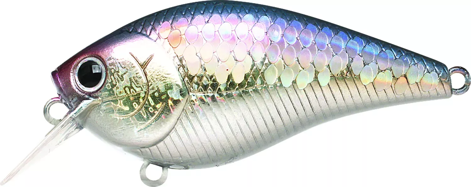 Lucky Craft LC 1.5 Crankbait - MS American Shad