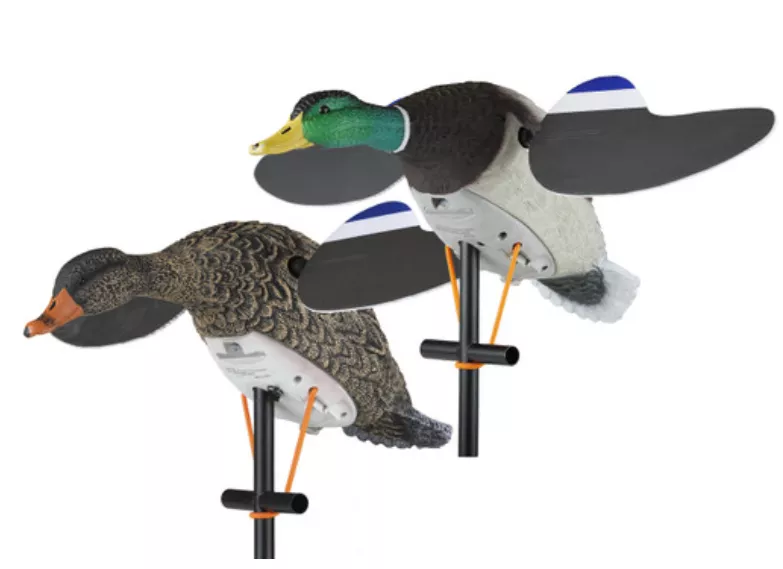 Lucky Duck Lucky Pair II #21-10617-4