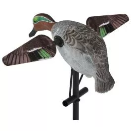 Lucky Duck Lucky Teal HD