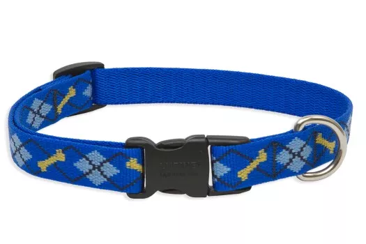Lupine Medium Dog 3/4″ Adjustable Collar 12″-20″