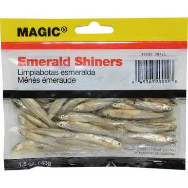 Magic Preserved Emerald Shiners