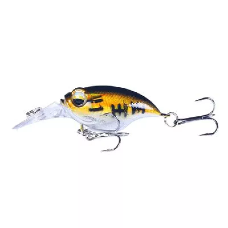 Mini Crankbait(0 – 3′) – Gold Black