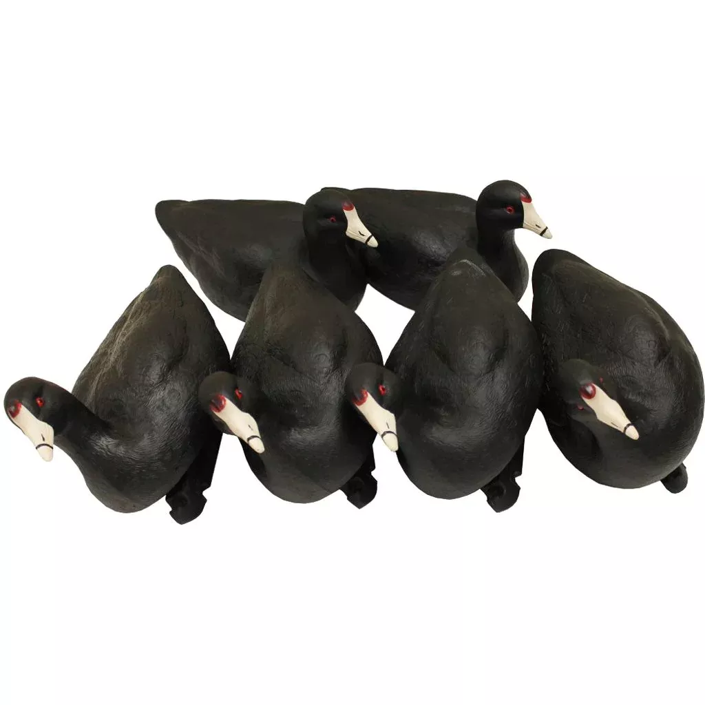 MOJO Coot Confidence Decoys – 6 Pack