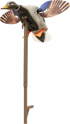 Mojo Elite Series Mini Mallard – Drake Decoy