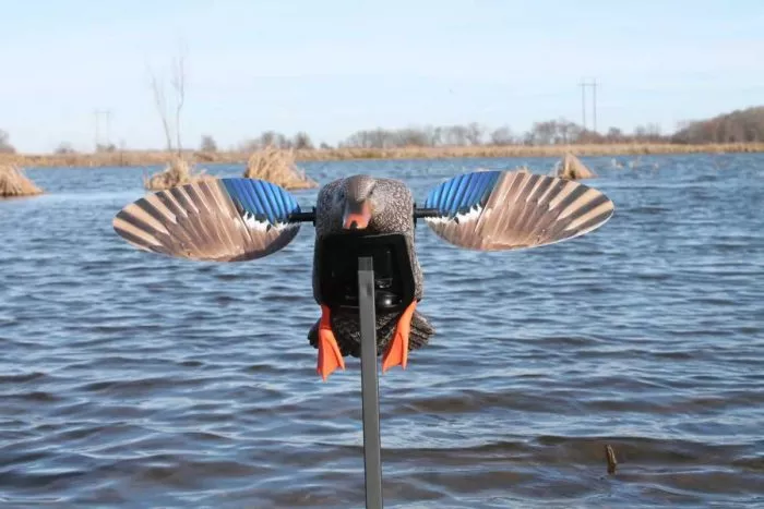 Mojo Outdoors Elite Series Mini Mallard #HW2471