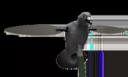 Mojo Outdoors PigeonSpecies Multi Color