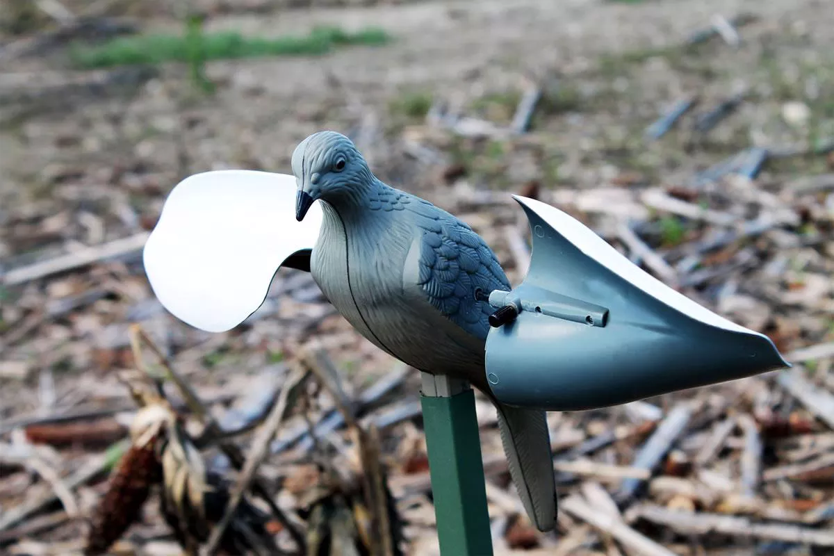 Mojo Outdoors Wind DoveSpecies Gray Plastic