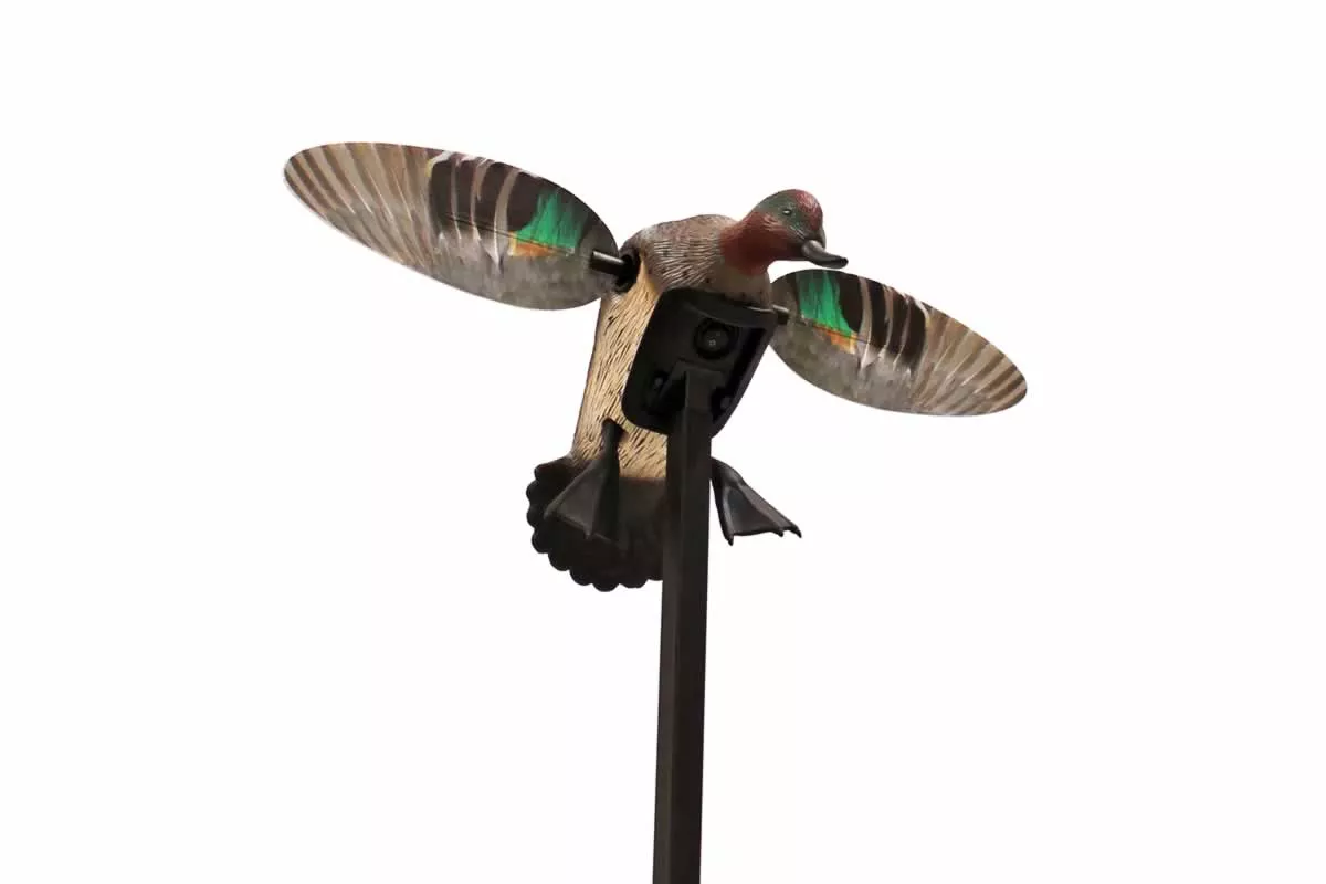 MoJo OutdoorsElite Series – Green Wing Teal #HW2474