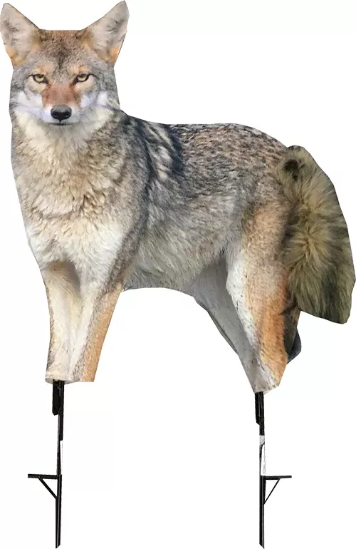 Montana Decoy Coyote Song Dog -
