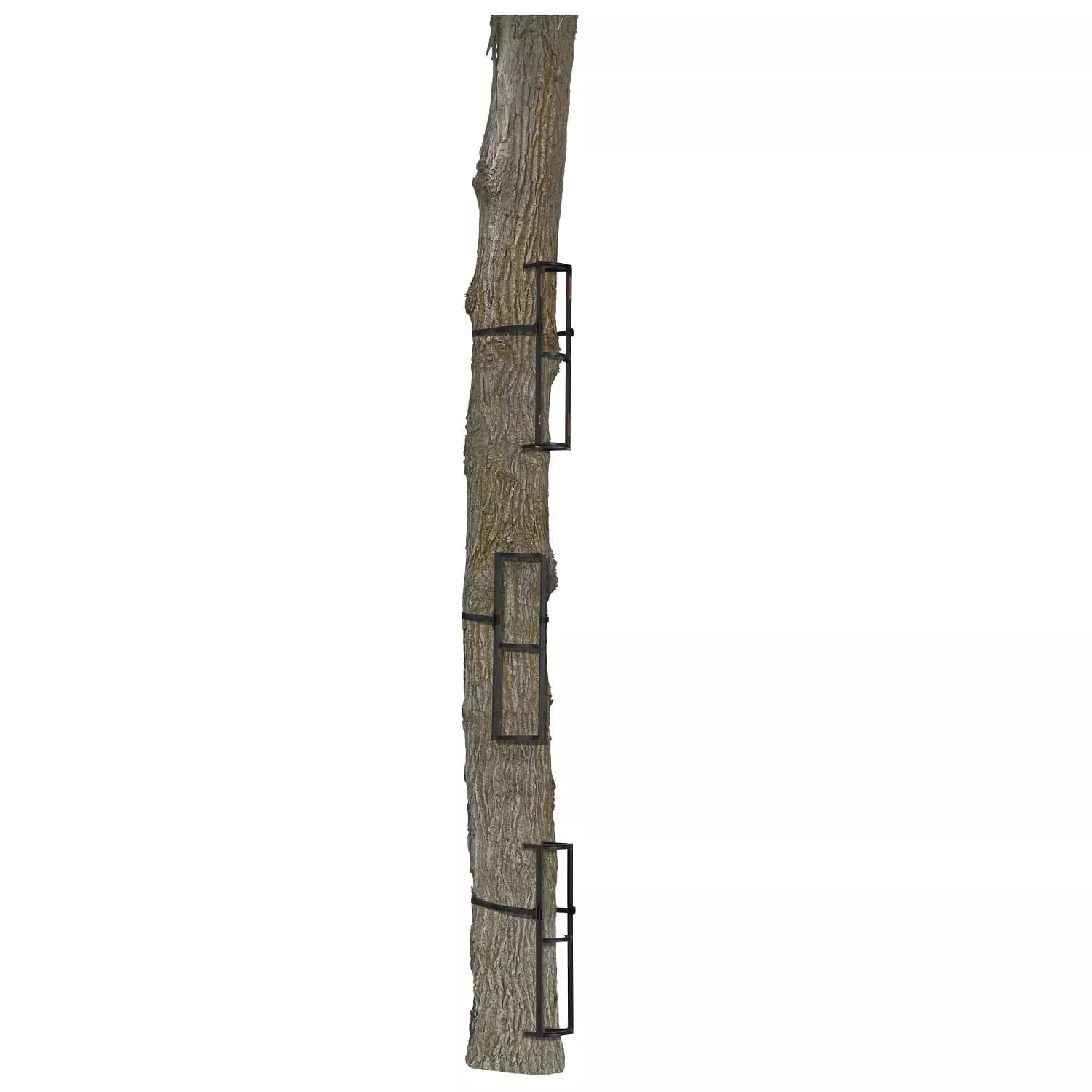 Muddy Stagger Steps 3-Pack