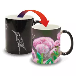 The Mug Experience Color Changing Mug Experience