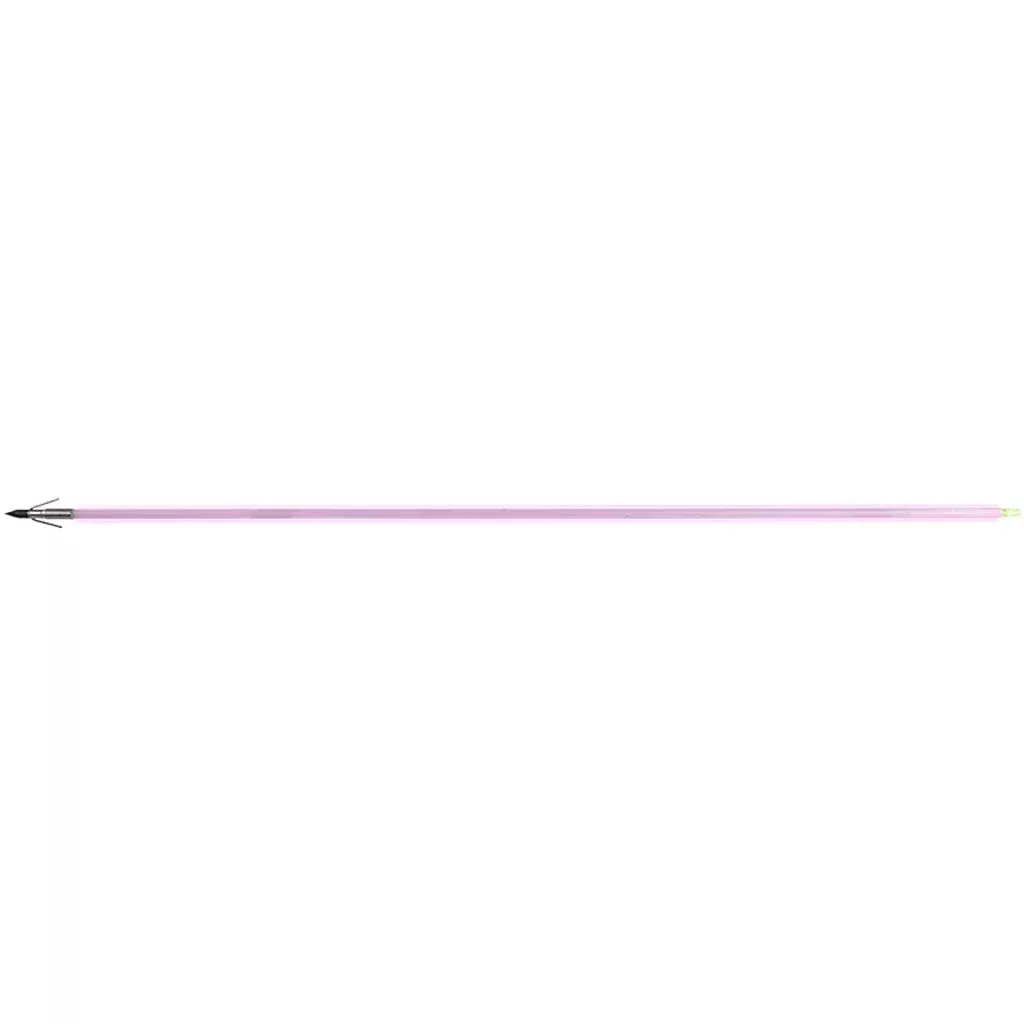 Muzzy Saber Fish Arrow (Carp Point)