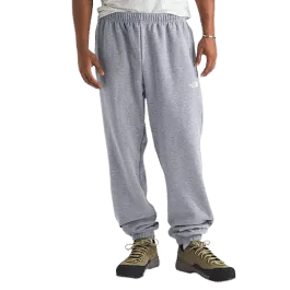 The North Face Men's Evolution Simple Dome Regular Pant - TNF Pale Grey Heather - L