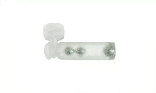 Northland Buck-Shot Rattle