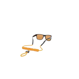 Optic Nerve Floater Buoy Retainer