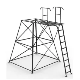 Orion 10' Ladder Platform