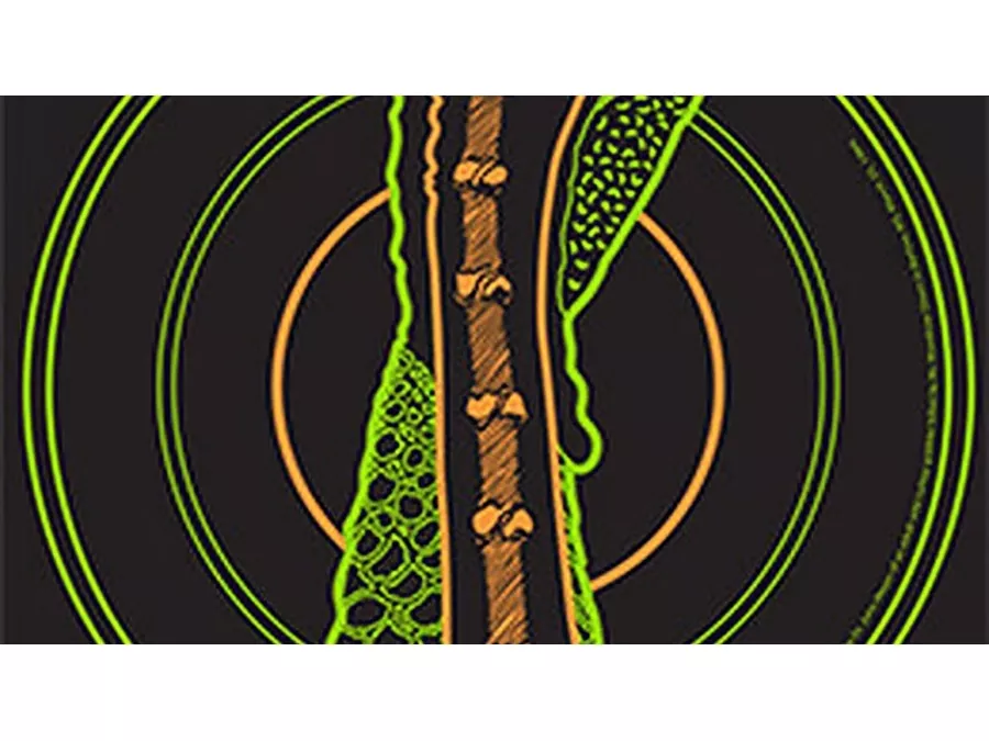 Primos VisiShot Turkey Hanging Paper, 10