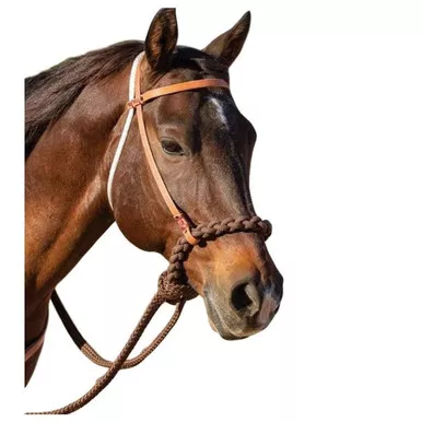 PROFESSIONAL'S CHOICE Oak Loping Hackamore (8168HL)