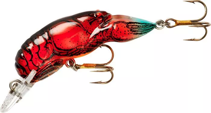 Rebel Middle Wee Crawfish