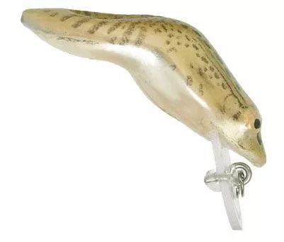 Rebel Wee Frog Fishing Lure