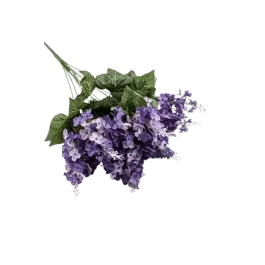 Regency Lilac Bush