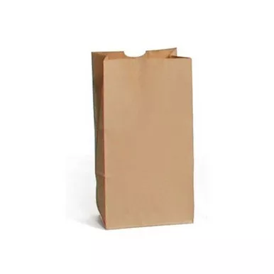 Sirchie Blank Kraft Evidence Bags (100 Pack)