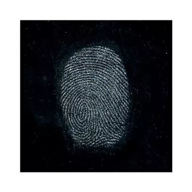 Sirchie Chemist Gray Fingerprint Powder